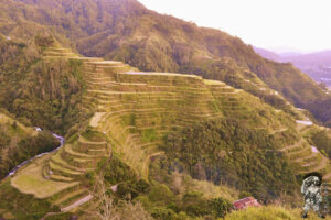 Banaue Rice Terraces