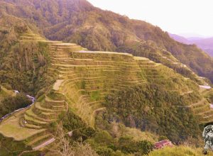 Banaue Rice Terraces