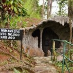 Maryknoll Ecological Sanctuary