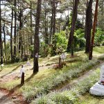 Camp John Hay