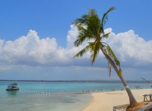 Virgin Island Cebu