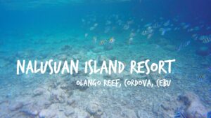 Nalusuan Island Resort