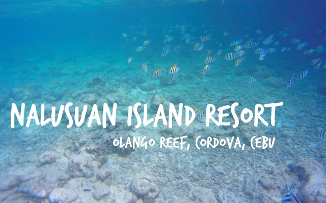 Nalusuan Island Resort