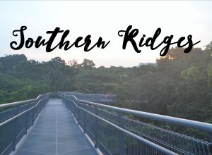 southern ridges