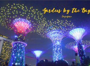 gardens by the bay