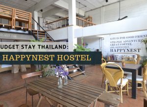 happynest hostel