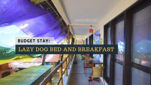 lazy dog bed and breakfast