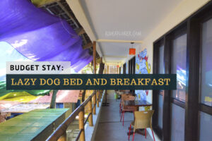 lazy dog bed and breakfast