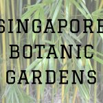 singapore botanic gardens