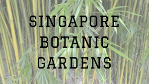 singapore botanic gardens